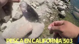 QUAIK LAKE PESCA Y COSINA DE STRIPER BASS