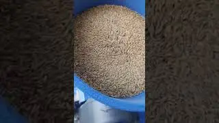 Portable Mini Rice Mill Leyte Philippines
