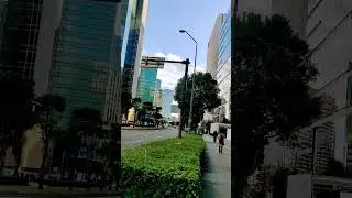 Big Tech companies in Japan #minatomirai #Fuzifilm#LG#Nissan#sony#yamaha#japan#yokohoma#travelvlog