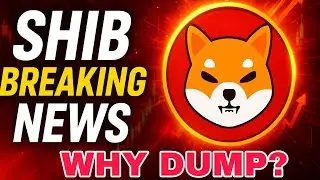 Shibainu Why Dump Today 😭 Shibainu  New Update Today | Shibainu Coin News - Shibainu Crypto