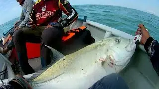 GT On Zerek Fish Trap || My Personal Best GT Fishing