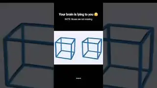 Rotating Boxes But Static | #opticalillusion #illusion #brainhacks #mindblowing