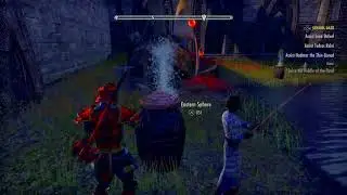The Riddle of the Pond ESO