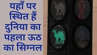 KNOW MORE ABOUT CAMEL SIGNAL | RGV GENIUS
