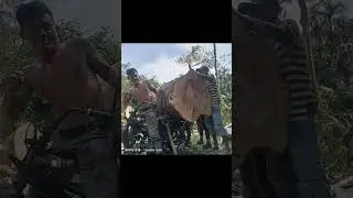 SEPEDAMOTOR RAKITAN MAMPU MENGANGKAT BEBAN BERAT😀😀😀