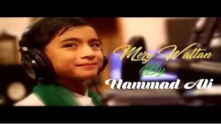 Mere Watan Ye aqeedat | 14 august song 2021 | milli nagma | 14 august new song | 14 august status