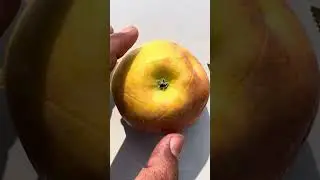 #fruit #cuttingart #fruitart #satisfying #fruitcutting #fruitcarving #fruitsculpture #vegetableart