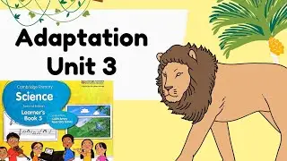Cambridge primary science grade 5 unit 3 adaptation