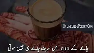 Tea ☕ poetry in Urdu | Tea poetry WhatsApp Status | Chai Shayari | Tea cup with beautiful poetry 💖