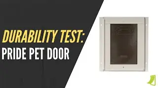 Durability Test & Review: Pride Pet Door