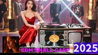 🎧 2025 - BEST EDM DROPS🔥| Trance, Techno, EDM, Festival Trap | Burning Man