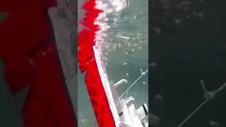 Cardboard ship sinking #sinkingship #shipmodel #shipsinking #rcships #rcboat