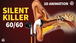 Ear Anatomy | Earbud Killing and Shocking Truth - 3D Animation HD