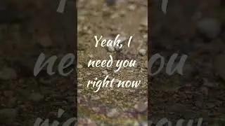 The Chainsmokers - Don't Let Me Down