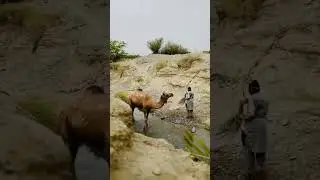 #Balochistan#Washuk #Nature#Quetta #Sarbaz#iran#Balochi #gulzamen #kharan#Khuzdar #mashkel#Mountains
