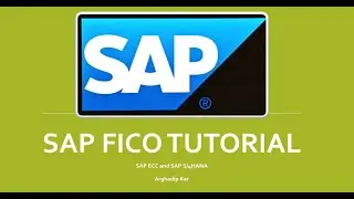 SAP FICO: How to Setup Invoice Duplicate check on Company Code Level in SAP S/4 HANA?