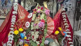 Palasbhai, Taramar Bari  is live