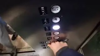 77th St Westinghouse traction elevators at the American Museum of Natural History (Manhattan, NY)