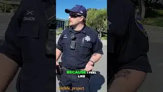 Respecting Boundaries: Filming on Public Property 📹🚷