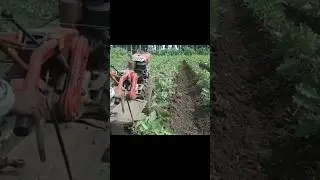 Traktor Sawah 241 Rotary Dangir Terong