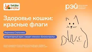 Здоровье кошки: красные флаги 