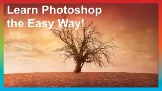 Learn Photoshop the Easy Way!