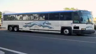 Hilarious, Rambling, Oddly Specific Greyhound Bus Trip Announcement