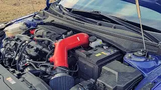 Elantra N-line oil change DIY & installing Sxth Element Billet oil cap