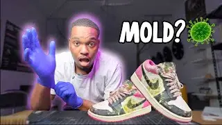 Cleaning Mold-Infested Shoes In Under 24 Hours