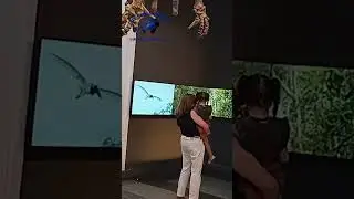 Explora&ccedil;&atilde;o Cient&iacute;fica