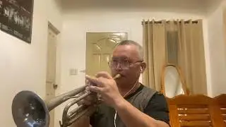 IPAGPATAWAD MO  - Vst & Company (Trumpet) cover