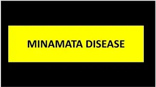 Minamata disease