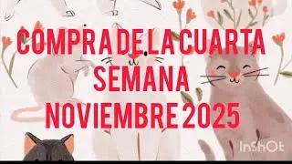 Purchase from the last week of November 2025, Total: &euro;71.21