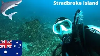 Stradbroke Island, Queensland Scuba Diving Club