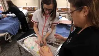 Northeast Nursing Program