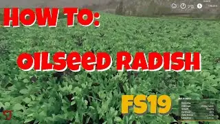 FS19 | How To Use Oilseed Radish