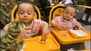 Caty Mano eating with Muslim and Mehziyar 🐈&zwj;⬛ #cat #eating #twins #trending #viral #shorts 