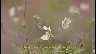 خطبة الجمعة حول الزنا ^ بلغتي السوننكية المندنكية 🎙بصوت شيخنا أبي الحسن محمد كيرا حفظه الله ورعاه