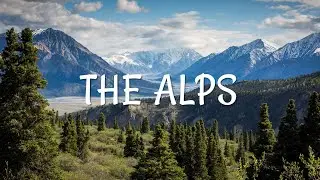5 Animals of The Alps l Europe l Wildlife