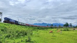 Dooars Longest & Curvy Express Train || Capital Express Train passing Gulma Forest Rail curve