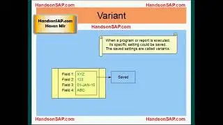 SAP Terms   Video 4   SAP Terms