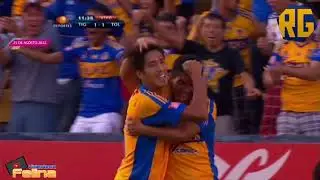 TIGRES 1-1 TOLUCA | JORNADA 6 APERTURA 2012 | LIGA MX | RESUMEN GOLES