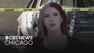 Quick-thinking Schaumburg teen saves entire family, including dogs, from house fire