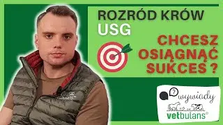 Rozród bydła 🐄 | Jak prowadzić skuteczny rozród bydła 🎯? Jak powinna wyglądać wizyta USG ?