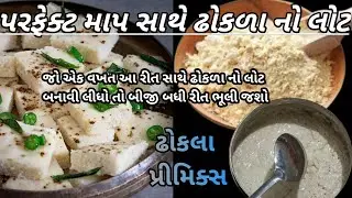 ઢોકળા નું લોટ બનાવવાની રીત/ઢોકળા નું પ્રીમિક્સ બનાવવાની રીત/dhokla primix recipe/dhokda no lot