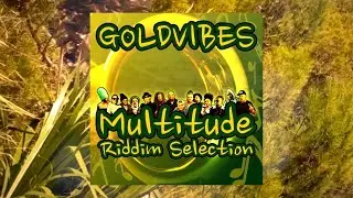 MULTITUDE RIDDIM SELECTION MEGA MIX (prod. Goldvibes) [FULL ALBUM/FULL SONGS]  Reggae Music 2024