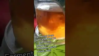 fermentasi teh kombucha lg tanpa baby scoby #tehkombucha #fermentasi#babyscoby#