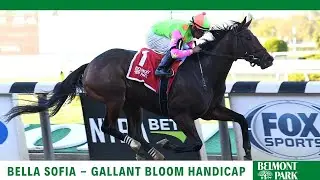 Bella Sofia - 2021 - The Gallant Bloom