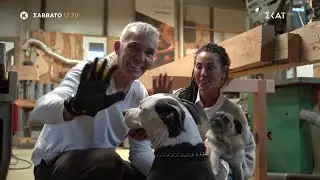 Pet Stories - &Sigma;&tau;έ&lambda;&iota;&omicron;&sigmaf; &Rho;ό&kappa;&kappa;&omicron;&sigmaf; & &Lambda;&epsilon;&lambda;έ &Gamma;&kappa;ό&phi;&alpha; | Trailer | 03/01/2026