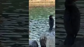 Молчаливое обращение
